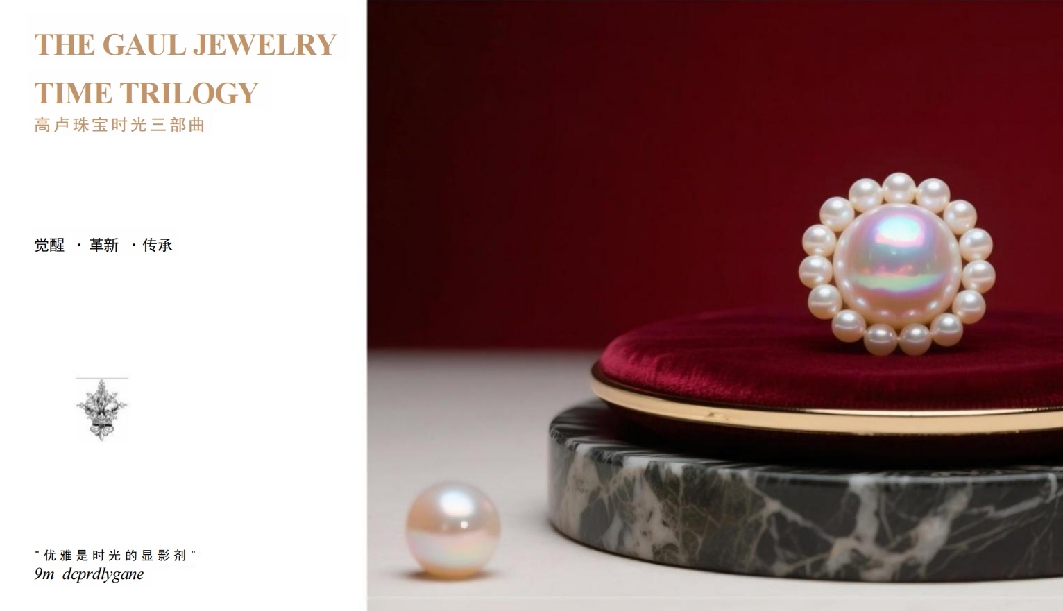 Brand Introduction 1