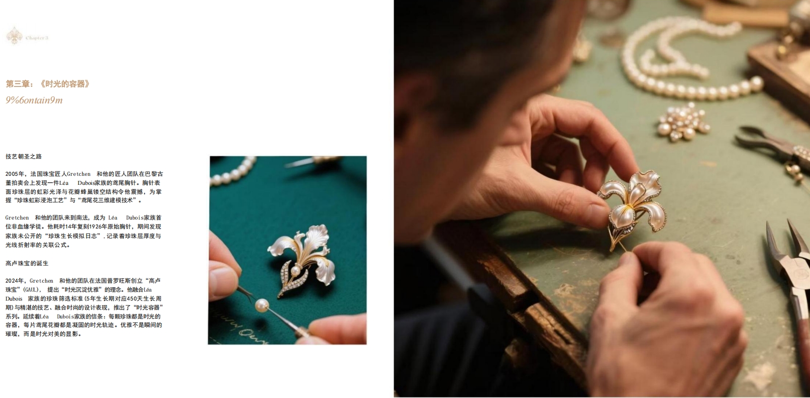 Brand Introduction 4