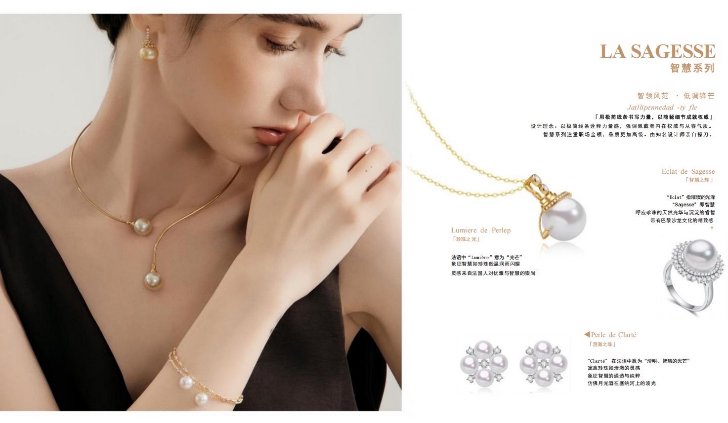 Brand Introduction 6